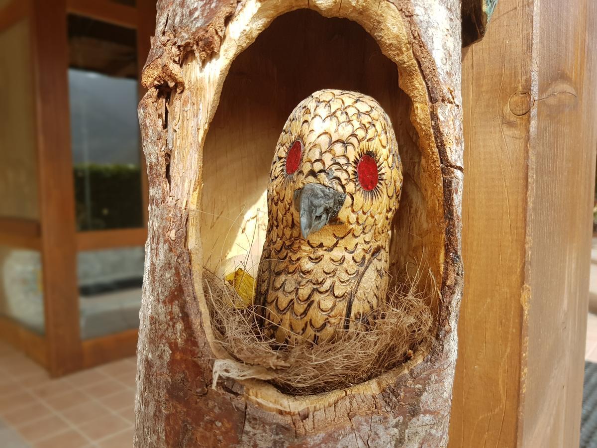 Le Chalet Del Pollino Rotonda Kültér fotó