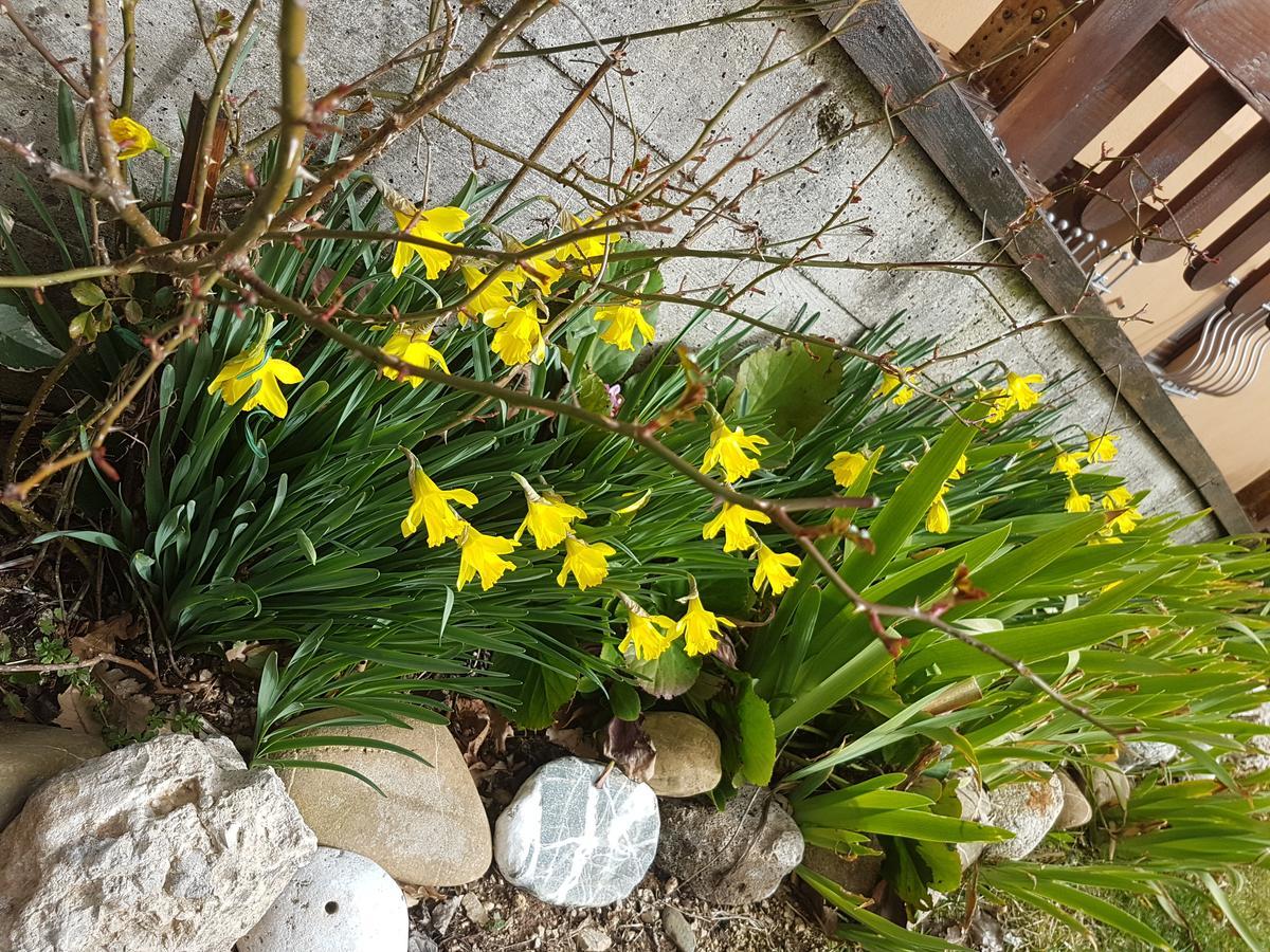 Le Chalet Del Pollino Rotonda Kültér fotó