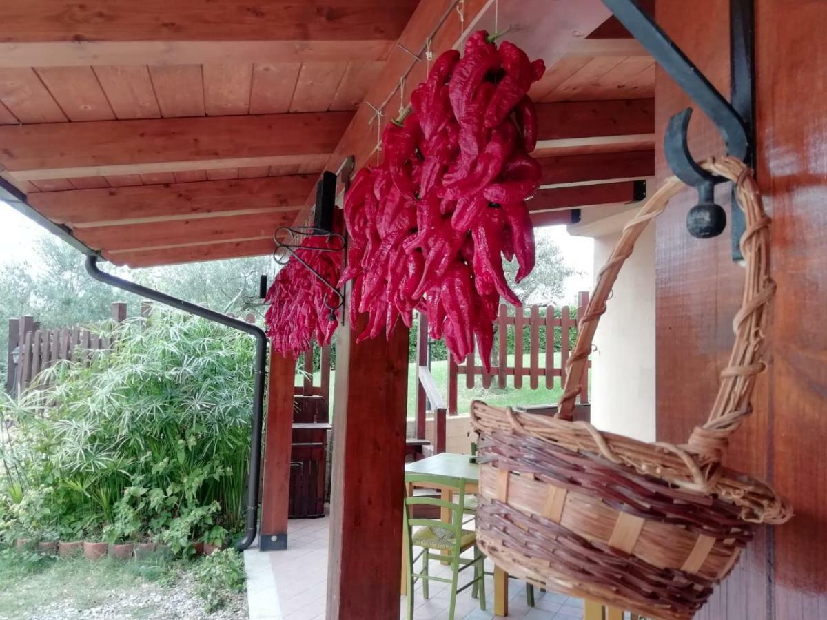 Le Chalet Del Pollino Rotonda Kültér fotó