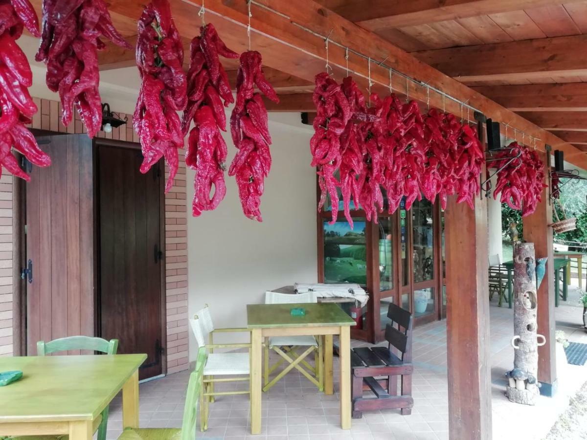 Le Chalet Del Pollino Rotonda Kültér fotó